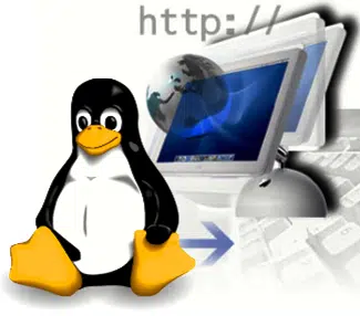 Curso Online de Linux